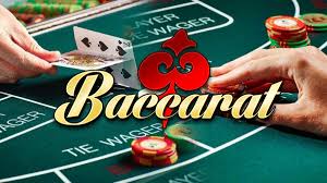 Play Online Casino Baccarat Games at Jilicc, Exciting Gameplay and Big Wins